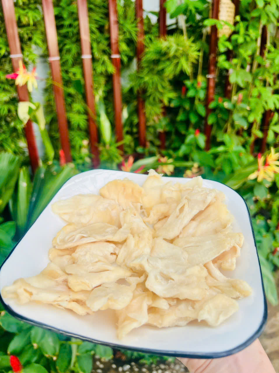 MÃNG CẦU SẤY DẺO